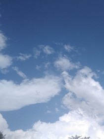 九梦杂记
