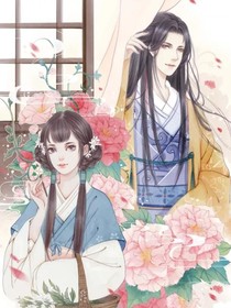 穿越之神医傻妃