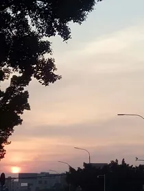 仰慕青春