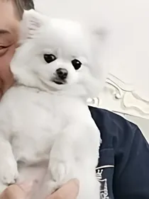 以后还会发一个过