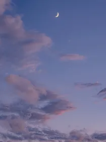 折枝花赠行