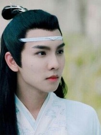 陈情令之蓝思追暗恋