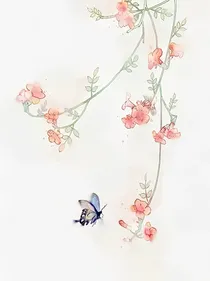 慕璃乐集