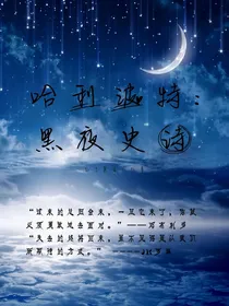 哈利波特之黑夜史诗