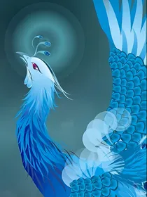 昭昭其华