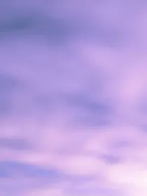 一人忆酒