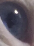 应该要做的
