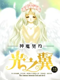 神魔契约之光之翼