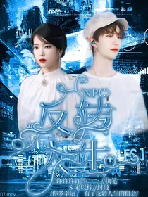 NPC：反转人生