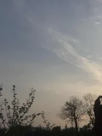 利柯星
