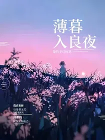 薄暮入良夜