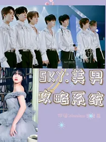 sky：美男攻略系统