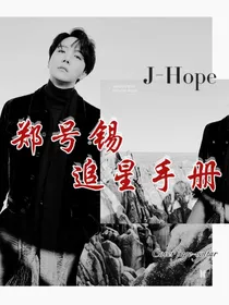 郑号锡：追星手册