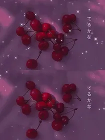 洛蝶恋花羽