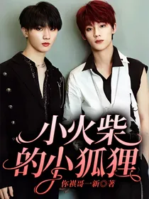 小火柴的小狐狸