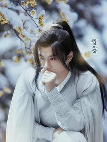 江湖风云：一见倾心-d966
