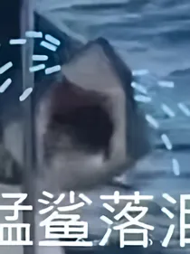 等风告诉我爱你