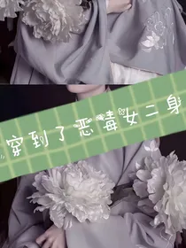 穿书穿到了恶毒女二身上