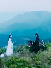陈情令续写小说——余生无羁
