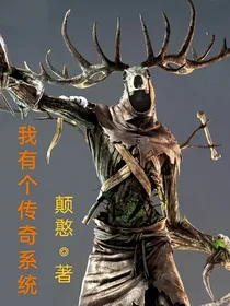 我有个传奇系统