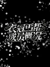 衣冠丐帮成员概况