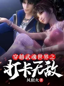 穿越武魂世界之打卡无敌
