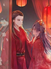 穿越之——夫人你逃不掉了