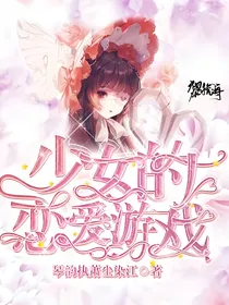 系统攻略：少女的恋爱游戏