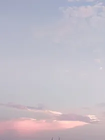 我和她不熟