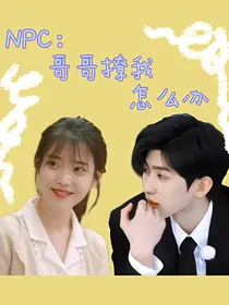 NPC：哥哥撩我怎么办