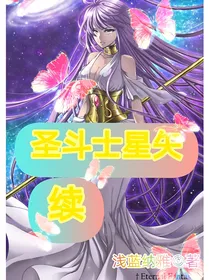 圣斗士星矢（续）