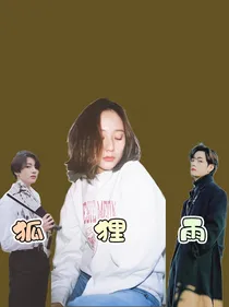 BTS：狐狸雨