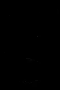 终极一班之白氏兄妹