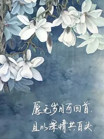 沓沓长空