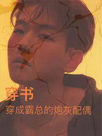 边伯贤：穿成霸总的炮灰配偶