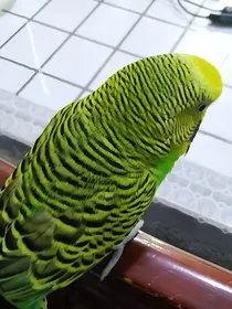 迷你世界小作品