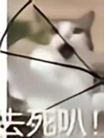 终极笔记：张家傲骨