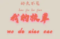 好久不见，我的校草