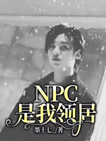 NPC是我领居