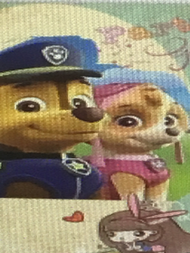 汪汪队立大功之校园恋