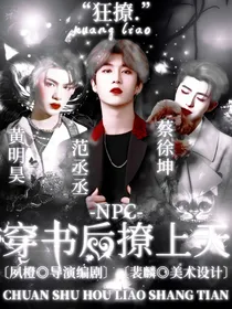 NPC：穿书后撩上天