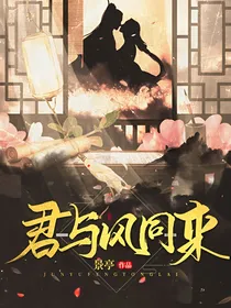 君与风同来