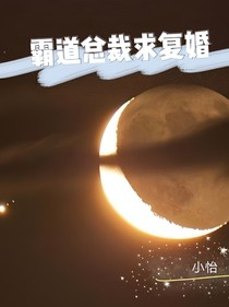 霸道总裁求复婚