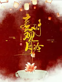 秦时观月冷