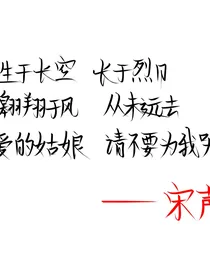穿书：宋声声拯救计划