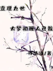 查理九世之大梦初醒人已散