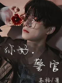 你好，警官