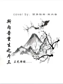 斯内普重生之斗3
