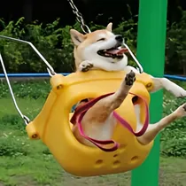 危险的小莫