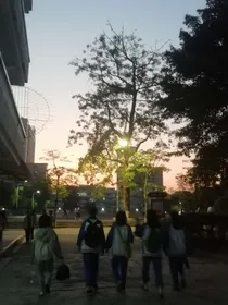 初中时候的那些事